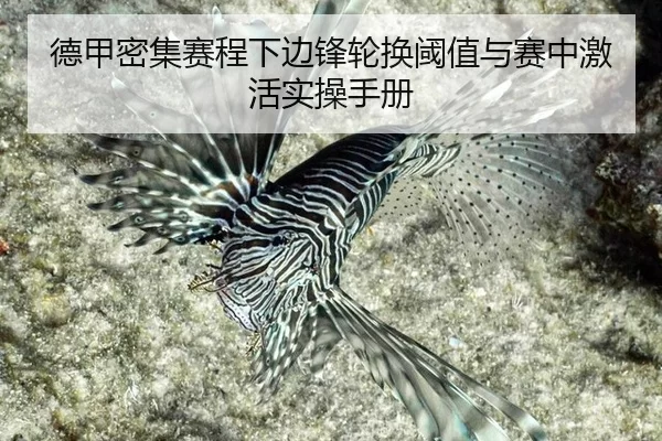 de-jia-mi-ji-sai-cheng-xia-bian-feng-lun-huan-yu-zhi-yu-sai-zhong-ji-huo-shi-cao-shou-ce-2-609.jpg